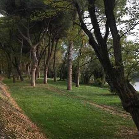 Pisa Appartamento Bonaini 외부 사진